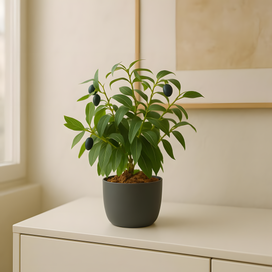 Artificial Plant